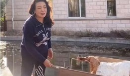 张兰最新爆料辟谣事件,揭秘辟谣背后的真相