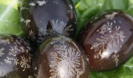 蛋仔派对最新爆料皮蛋教官,皮蛋教官强势登场，揭秘神秘背景与技能